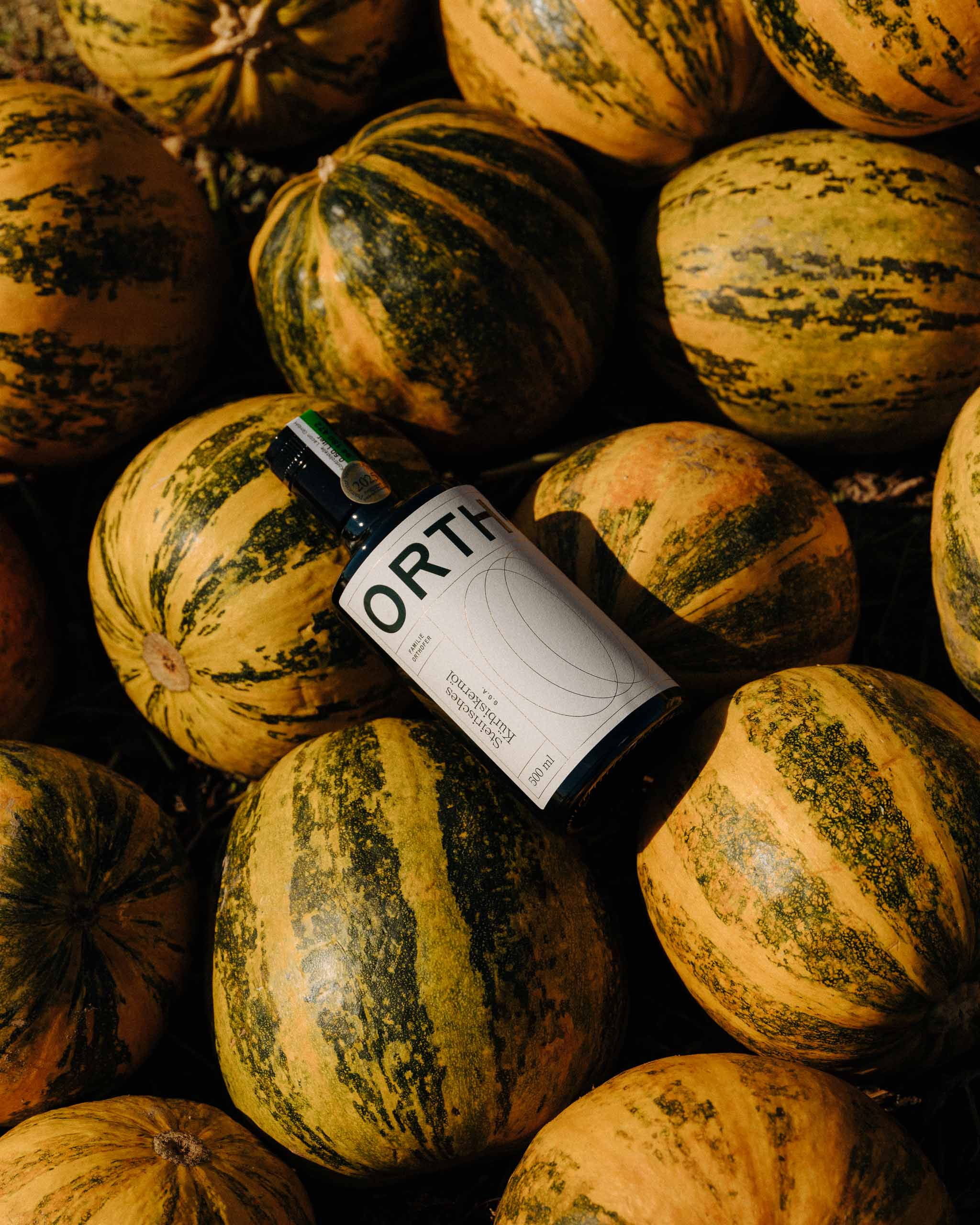 ORTHOFER_©_Lukas_Diemling_2026_Web_02