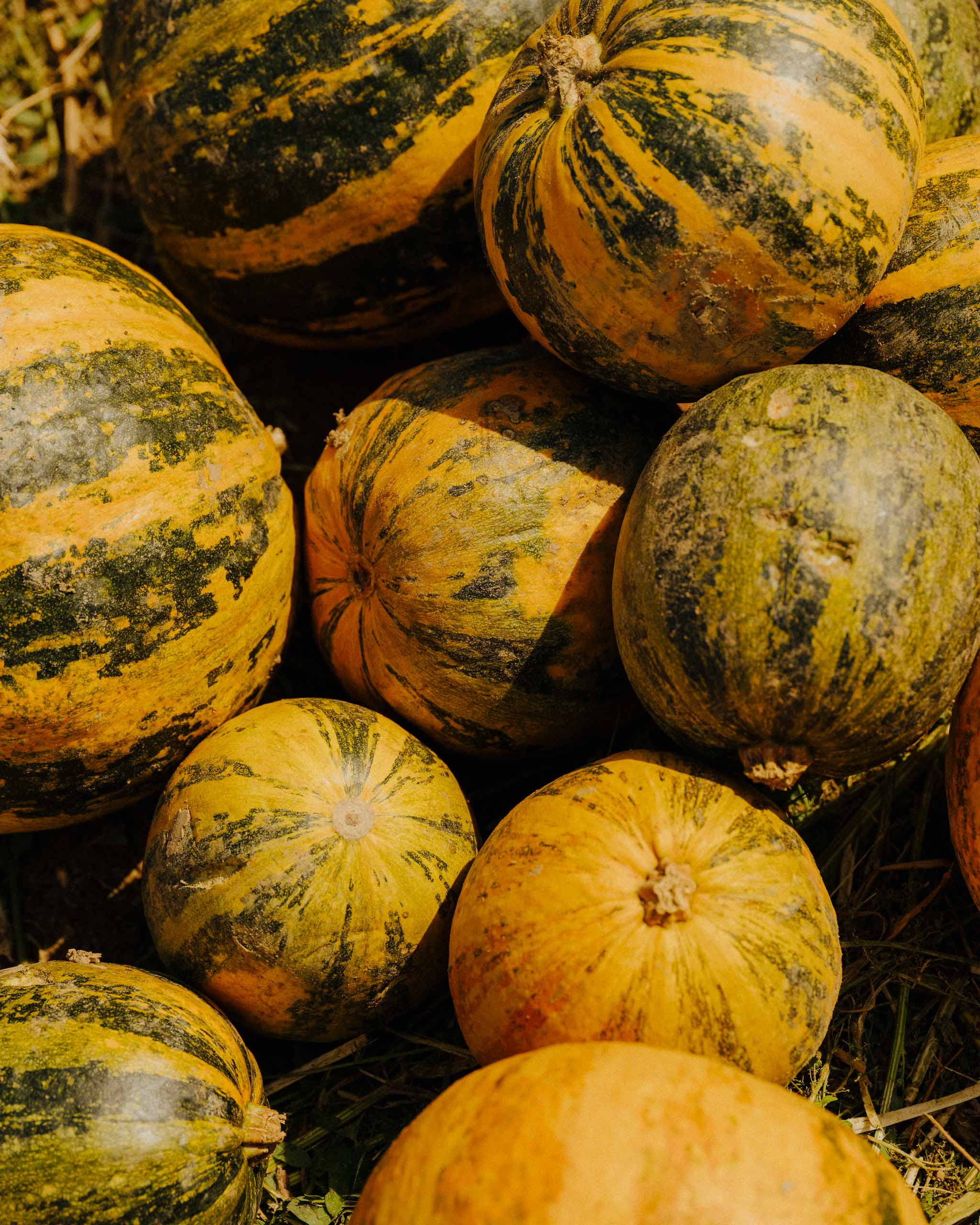 ORTHOFER_©_Lukas_Diemling_2026_Web_06