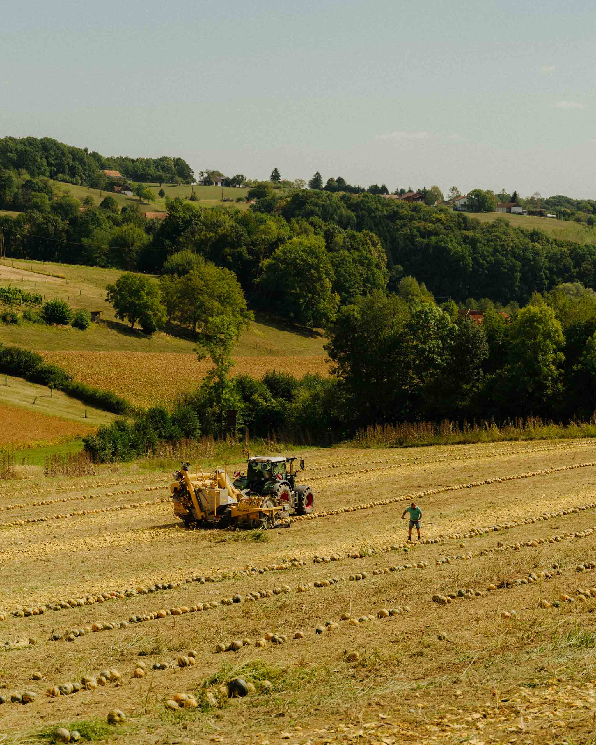 ORTHOFER_©_Lukas_Diemling_2026_Web_07